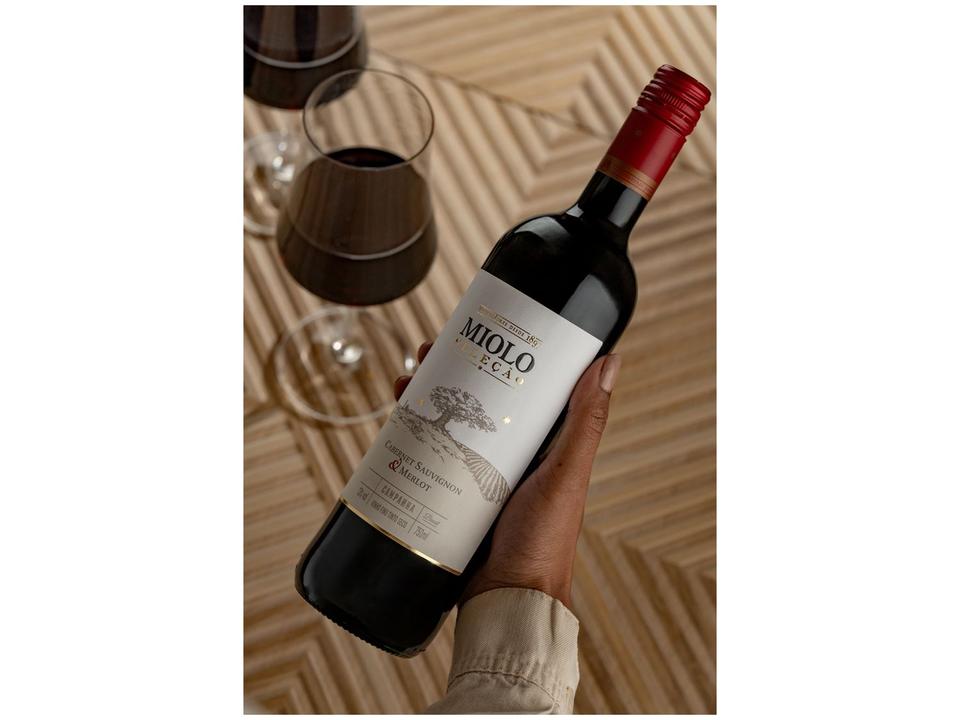 Vinho Tinto Seco Miolo Seleção Brasil 750ml - 2