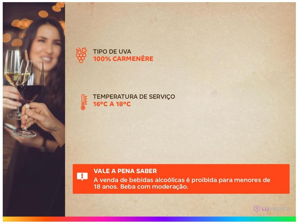 Vinho Tinto Seco Santa Helena Gran Reserva - 3