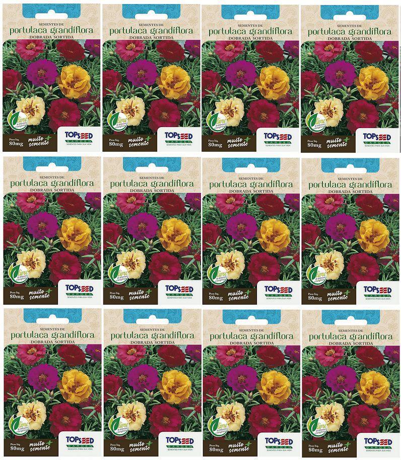 12X Sementes de Onze Horas (Portulaca Grandiflora) TOPSEED - Sementes -  Magazine Luiza