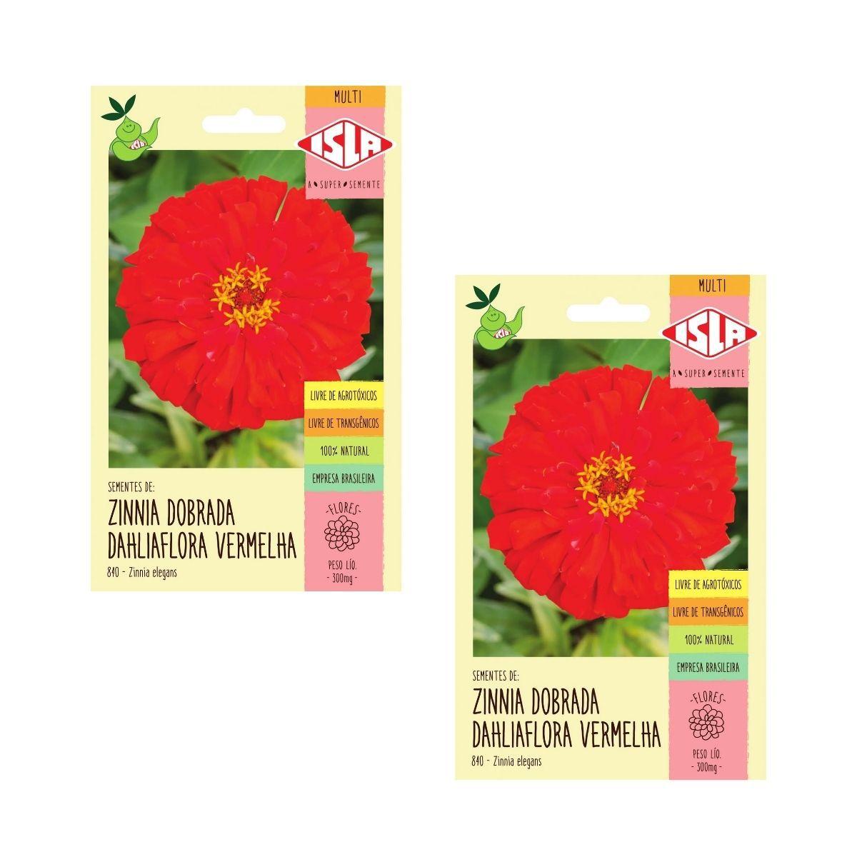 2X Sementes Zinnia Dahliaflora Vermelha Gigante ISLA - Sementes - Magazine  Luiza