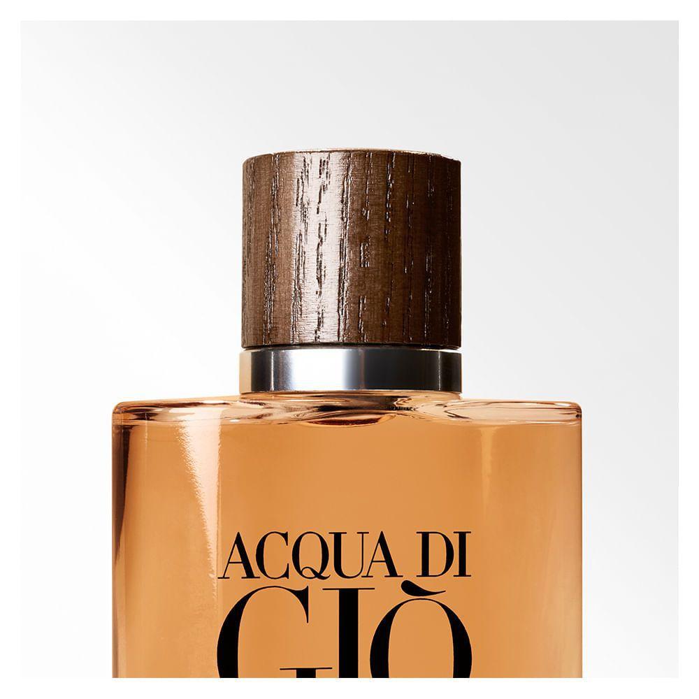 absolu armani