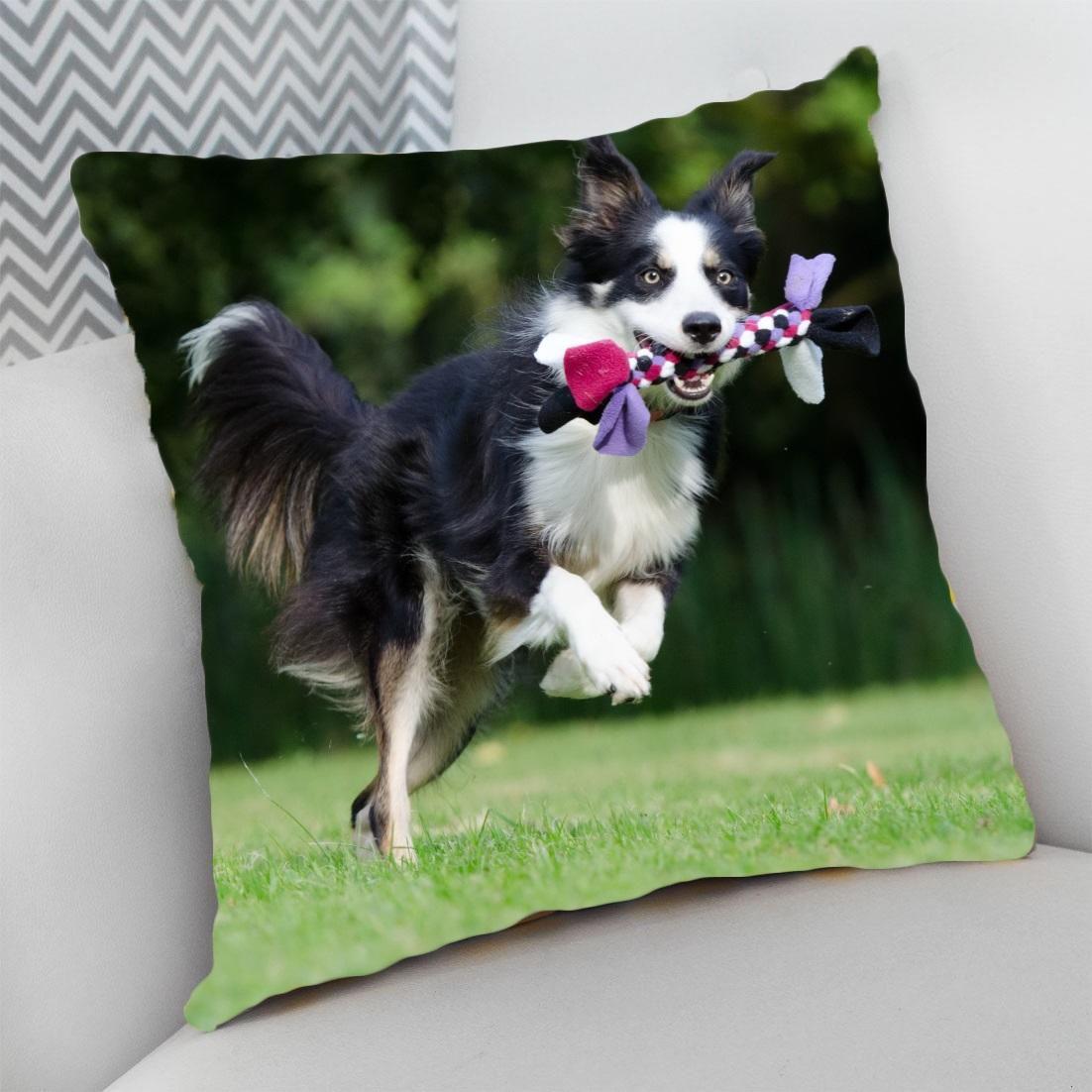 Almofada Decorativa Cheia c/ Zíper 40x40 Dog Pet Cachorro Cão - Deluzz ...