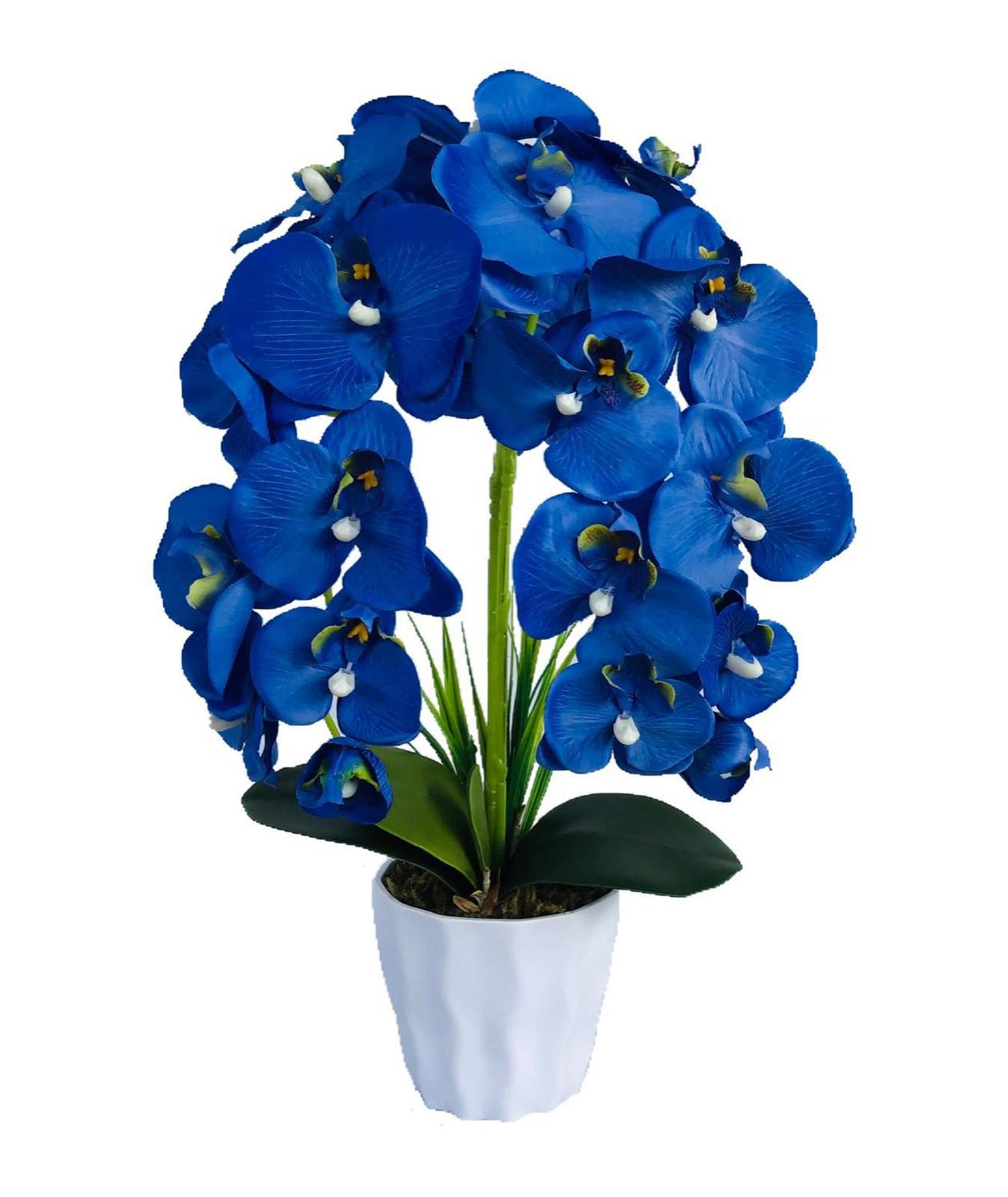 Arranjo Artificial Orquídea Azul Vaso Branco - Ag home e decor - Plantas  Artificiais - Magazine Luiza