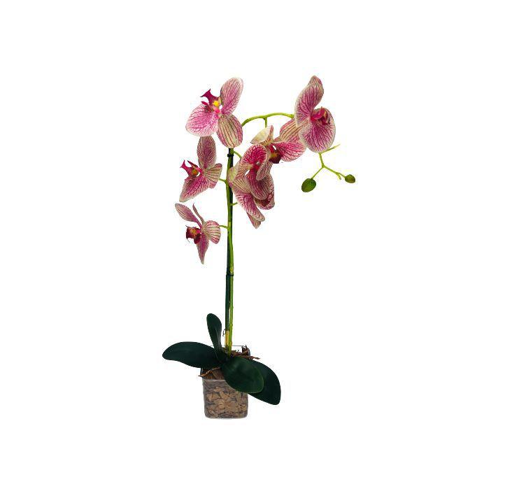 Arranjo composto orquidea branca e roxa + vaso acrilico casaroom 60cm -  Flores, Folhas e Galhos de Natal - Magazine Luiza