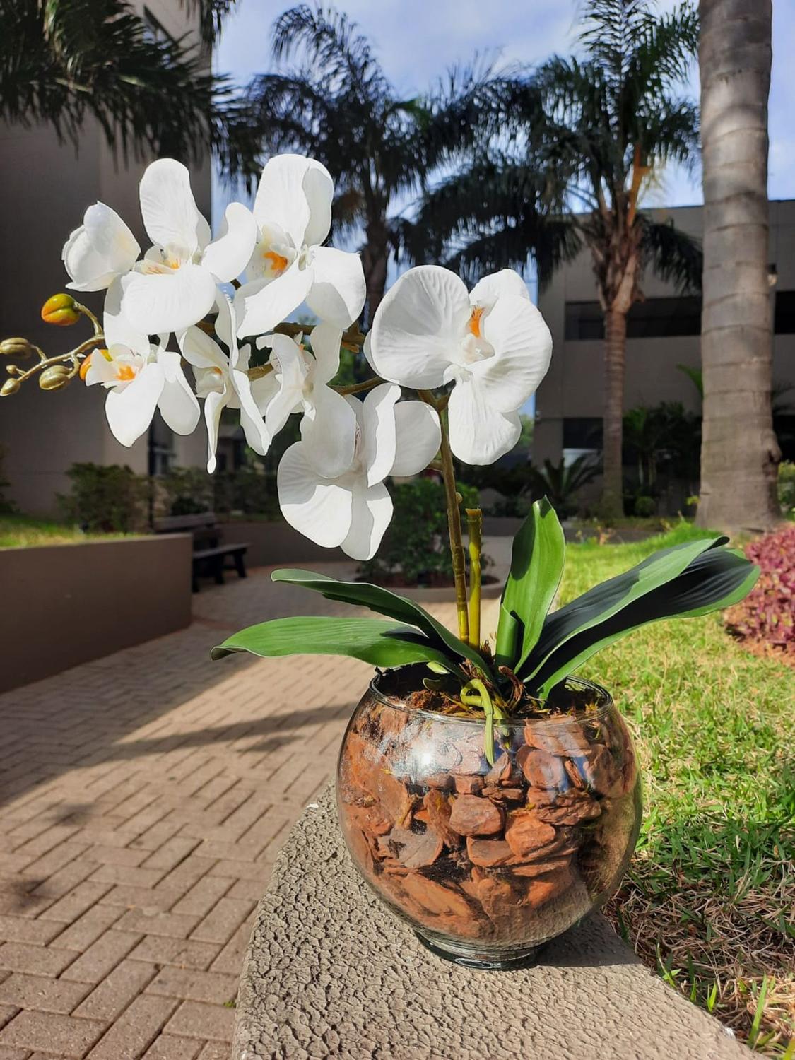 Arranjo de Orquídea Artificial Branca de Silicone Com Vaso de Vidro Oval -  Game Gramas - Plantas Artificiais - Magazine Luiza