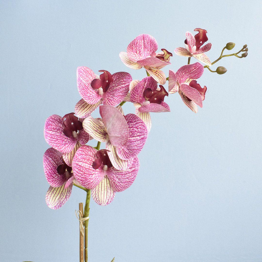 Arranjo de Orquídea Rosa Grande de Silicone no Vaso Rose Gold para Mesa de  Jantar - FORMOSINHA - Vasos para Plantas - Magazine Luiza
