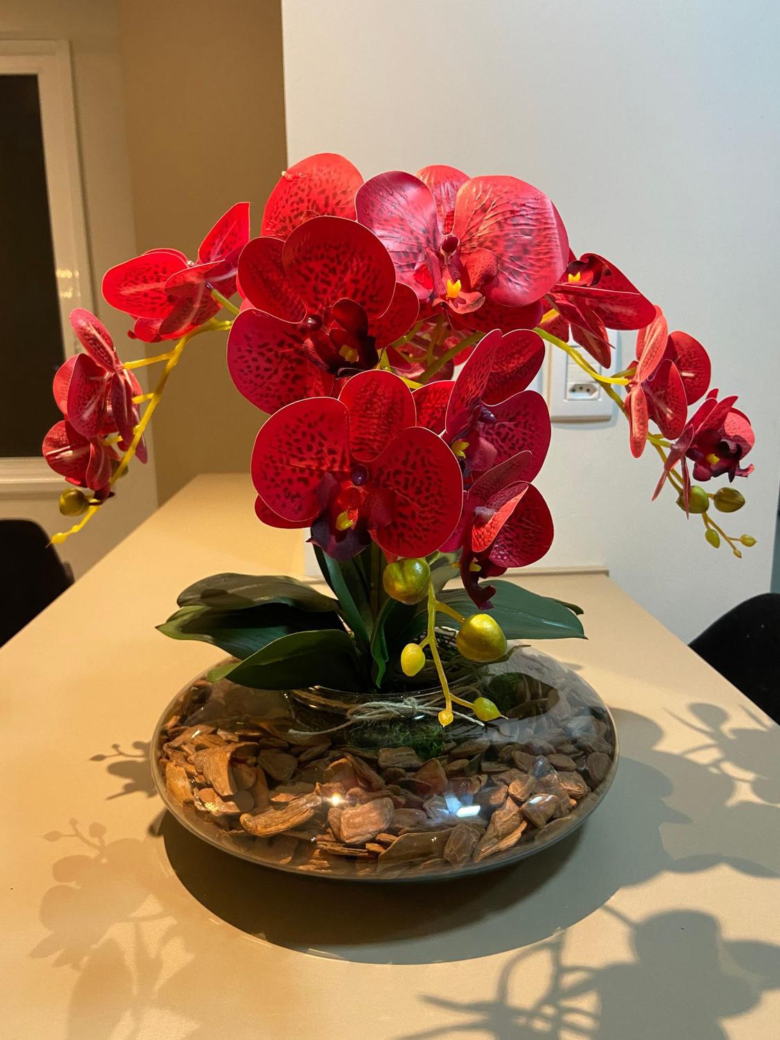 Arranjo de Orquídea vermelha Toque real vaso terrário vidro - Nika  Presentes - Flor e Planta Artificial - Magazine Luiza