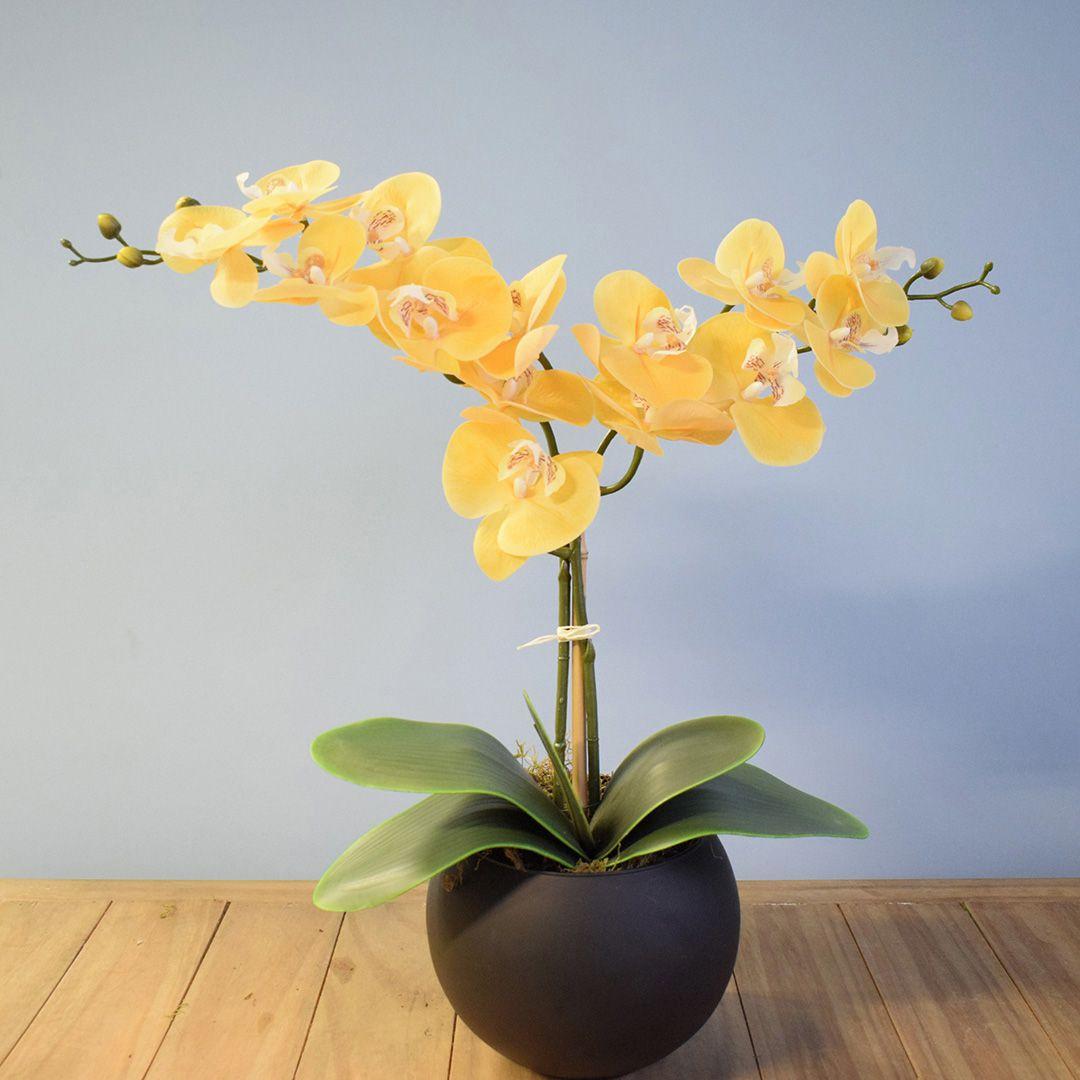 Arranjo de Orquídeas Amarelas de Silicone no Vaso Médio de Vidro - Preto -  FORMOSINHA - Plantas Artificiais - Magazine Luiza