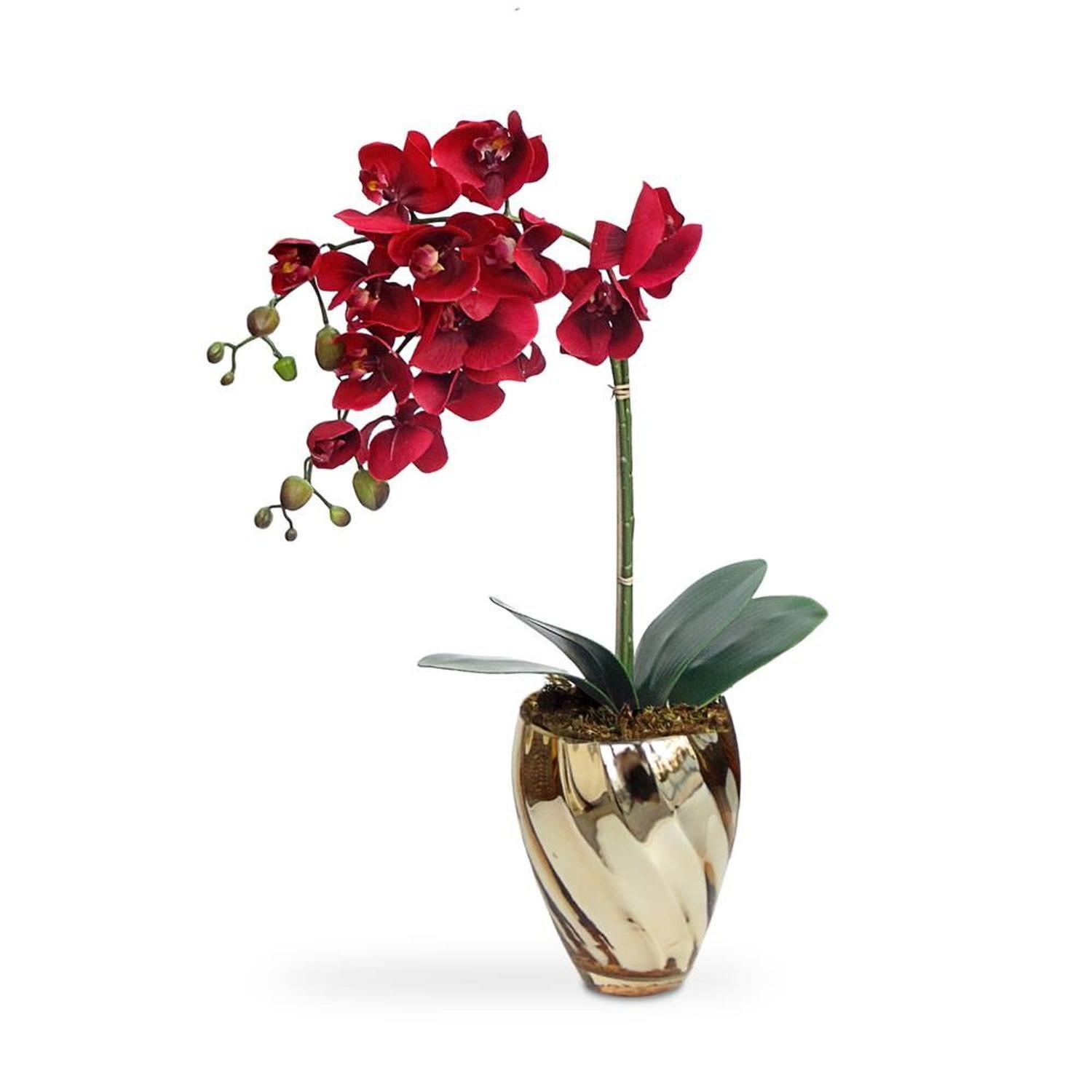 Arranjo de orquídeas vermelhas toque real no vaso espelhado 45 cm - Atelier  LGW - Plantas Artificiais - Magazine Luiza