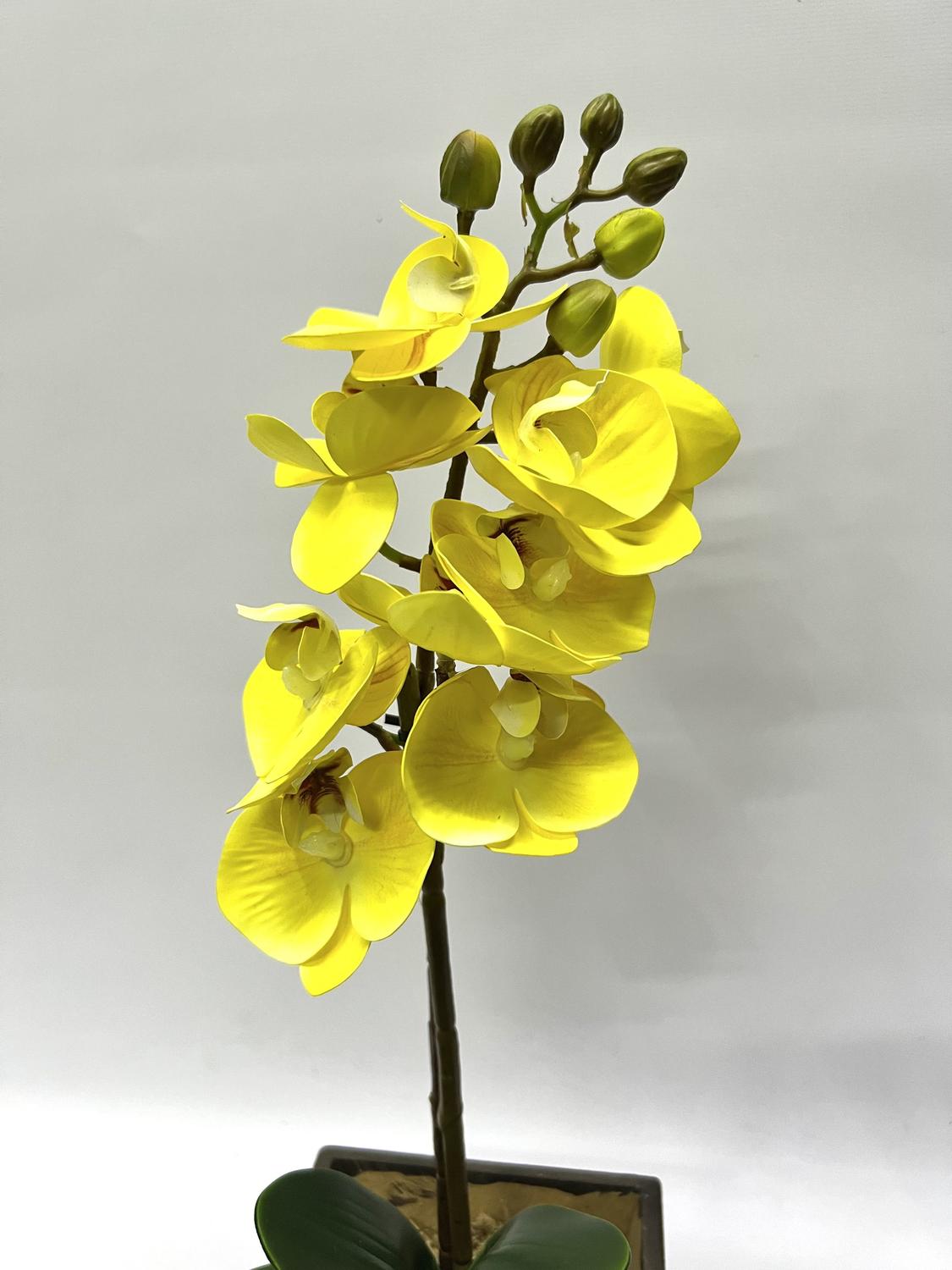 Arranjo Flores Artificiais Orquídea Silicone Pequena Amarela Cachepot  Madeira Decoração - JL FLORES ARTIFICIAIS - Arranjos de Flores - Magazine  Luiza