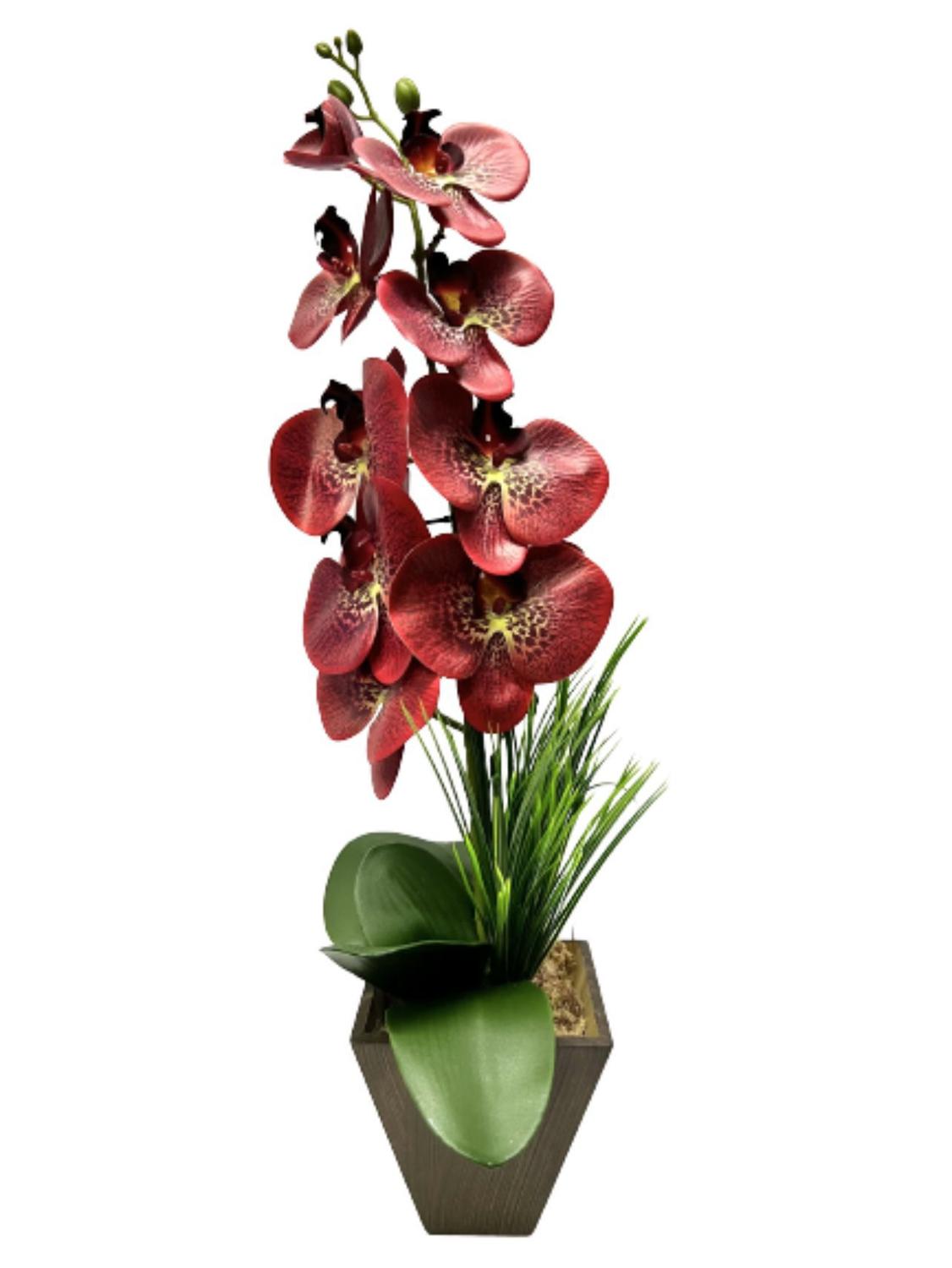 Arranjo Orquídea Silicone Toque Real Cachepot Madeira - Orquídea Vermelha -  JL FLORES ARTIFICIAIS - Flores de Natal - Magazine Luiza