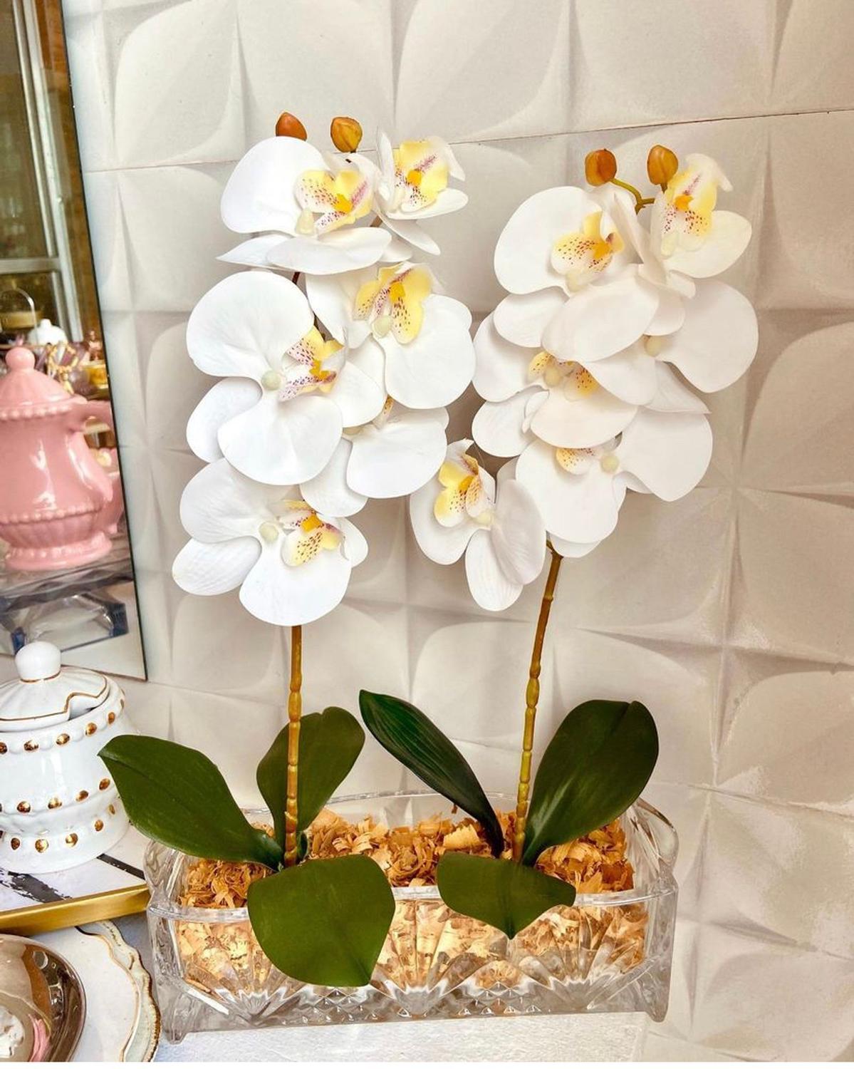 Arranjo vaso de cristal com 2 orquídeas brancas - Lindas louças - Vasos  para Plantas - Magazine Luiza