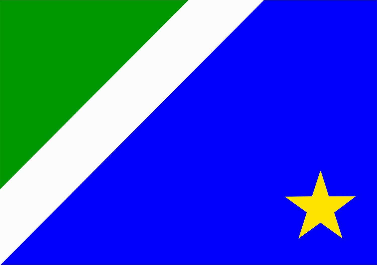 Bandeira do Mato Grosso do Sul 15x22cm - Banderminas - Bandeiras - Magazine Luiza