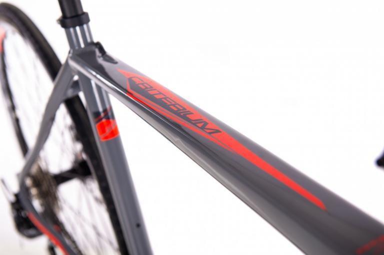 sense criterium 2019