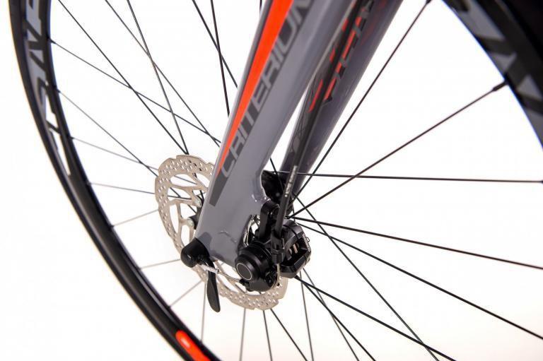 sense criterium 2019