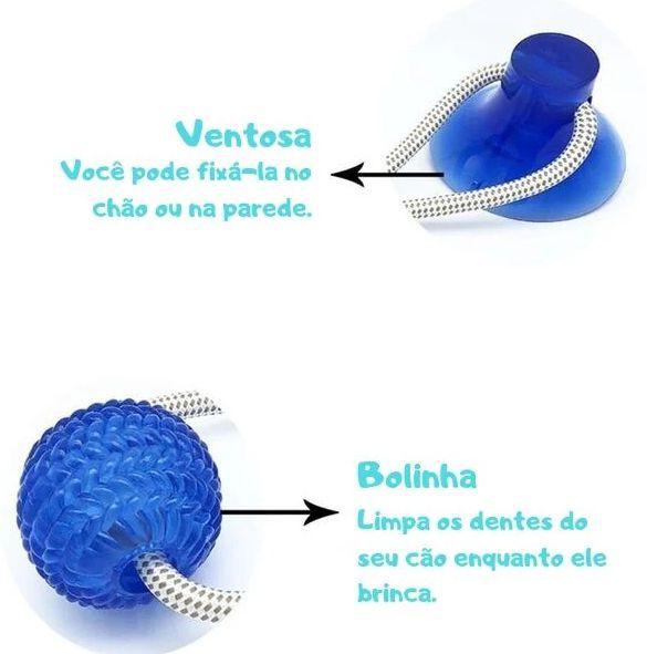 Brinquedo de puxar para cachorro Clearance