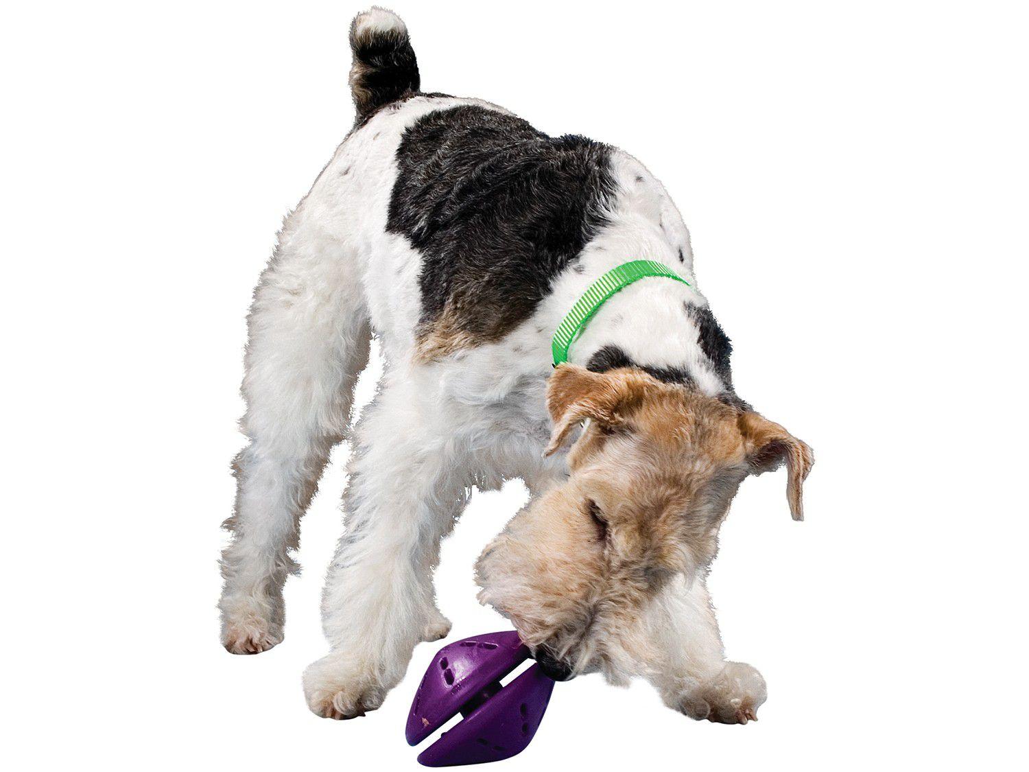 Brinquedo para Cachorro de Borracha
