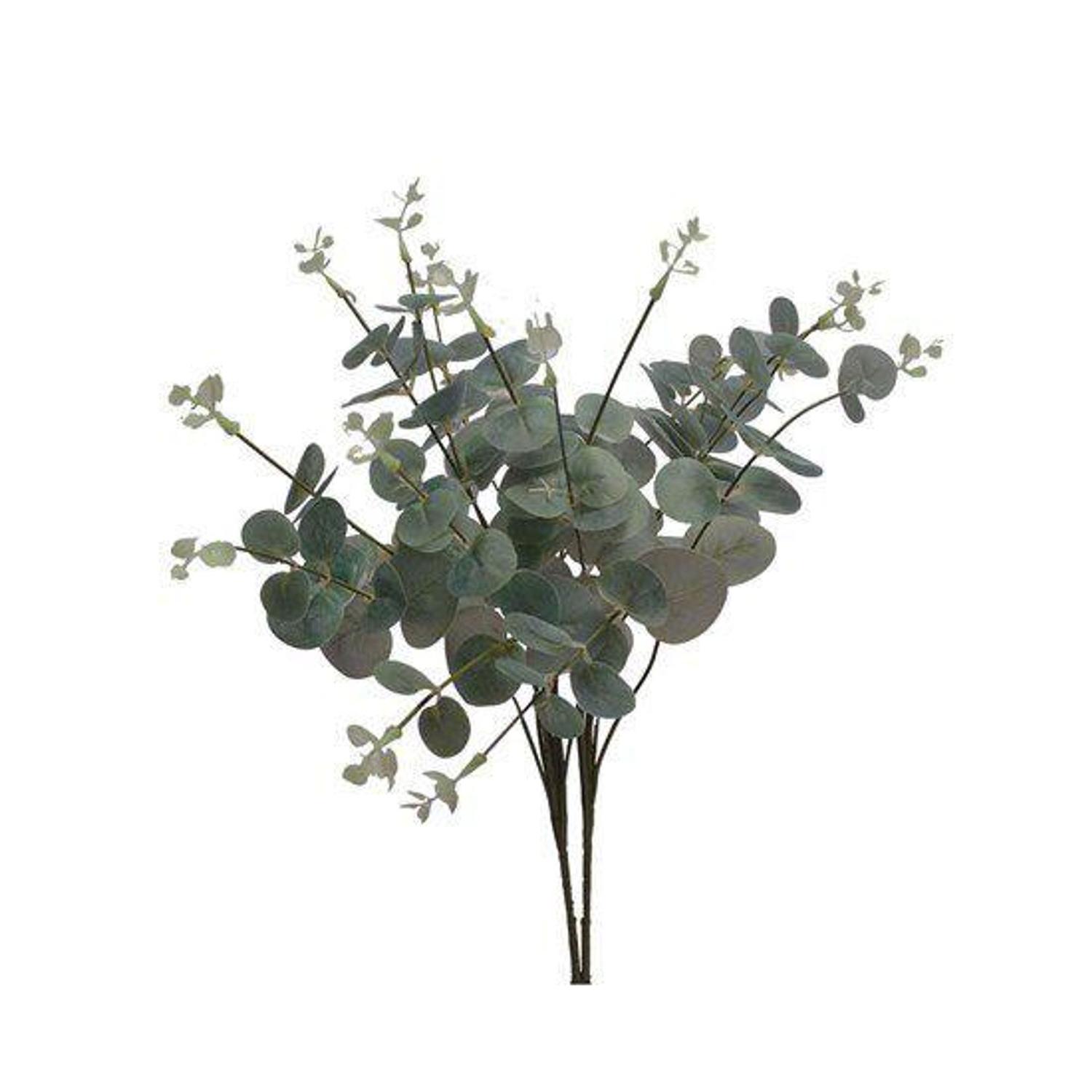 Buquê eucalipto 3d verde claro - Grillo - Plantas Artificiais - Magazine  Luiza