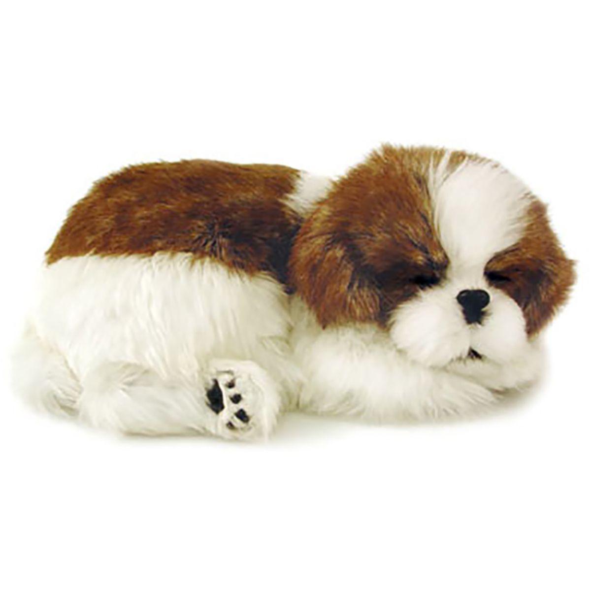 Shih tzu pelucia Clearance