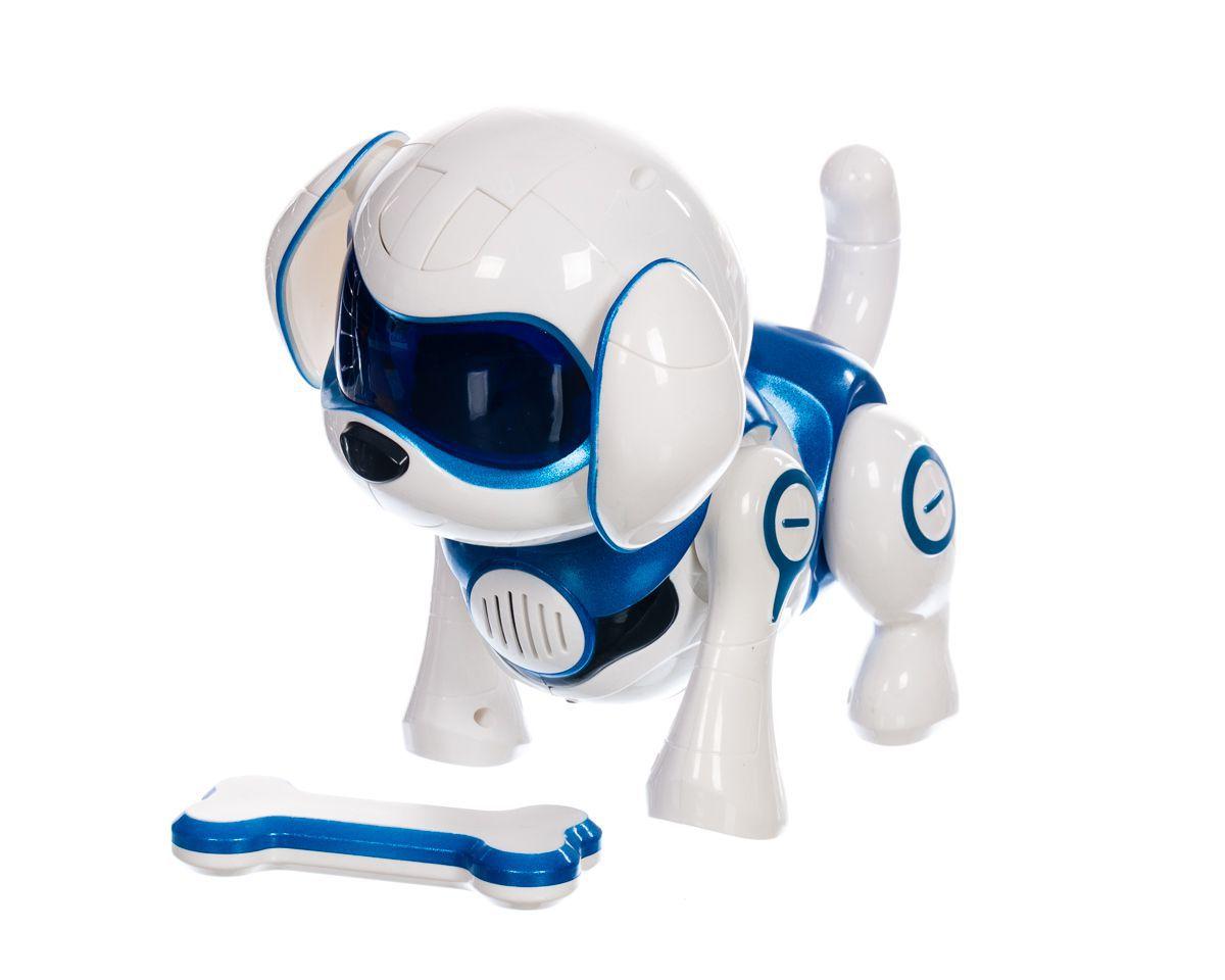 rock robot dog