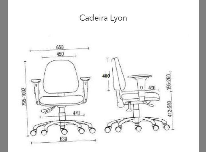 Cadeira de Escritório Diretor Lyon Ergonômica com Braços N17 - Qualiflex