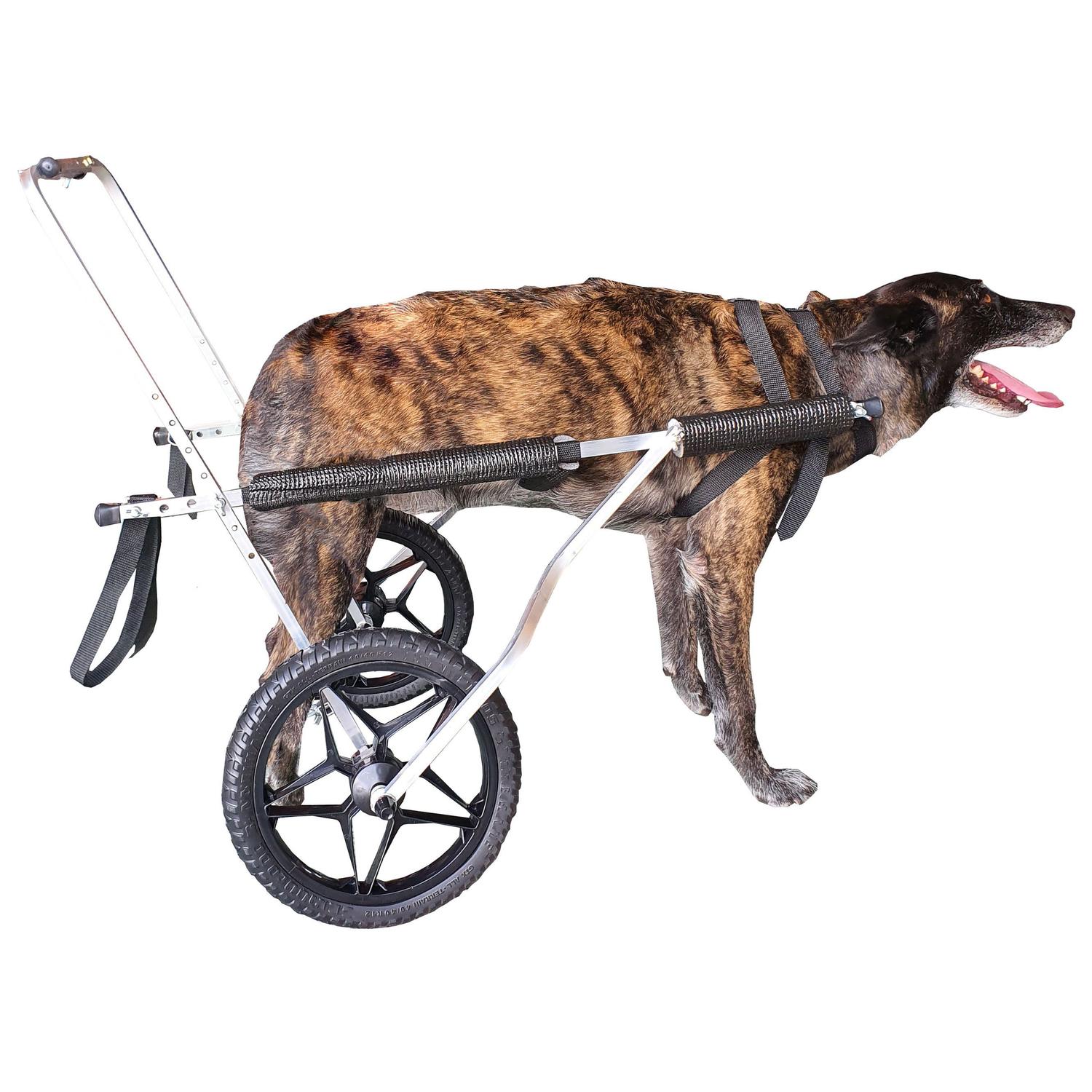 Ração de cachorro 50kg Clearance