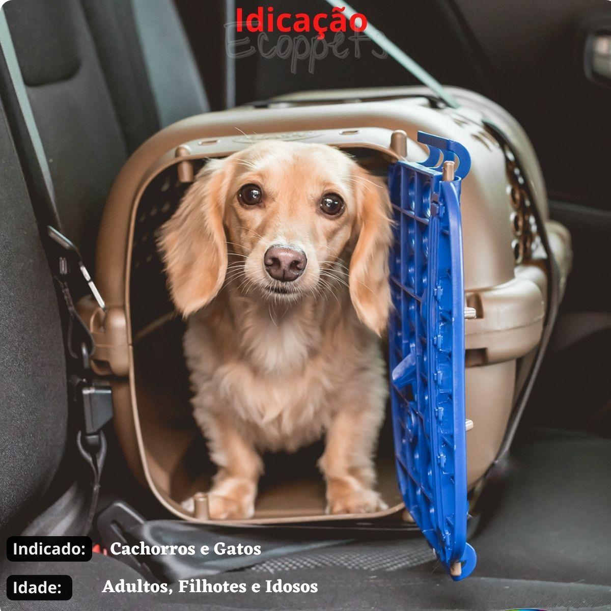 Imagem de Caixa Transporte N5 Para Cachorro Cães Gatos Coelhos Pet Shitzu Panther