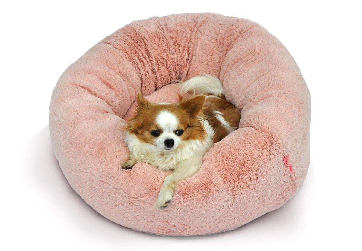 Bichinho de cachorro Clearance