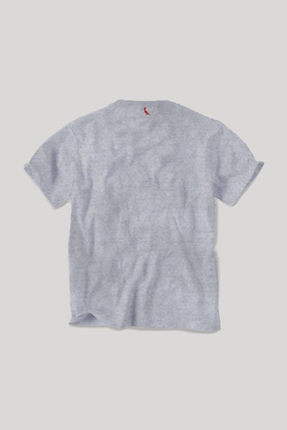 camisa reserva zico