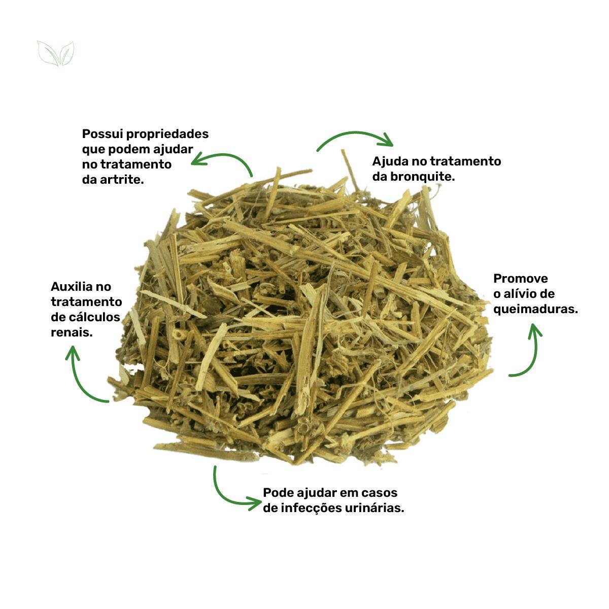 Chá de Parietaria - Parietaria Officinalis - 50g - Rocha Saúde - Chá -  Magazine Luiza