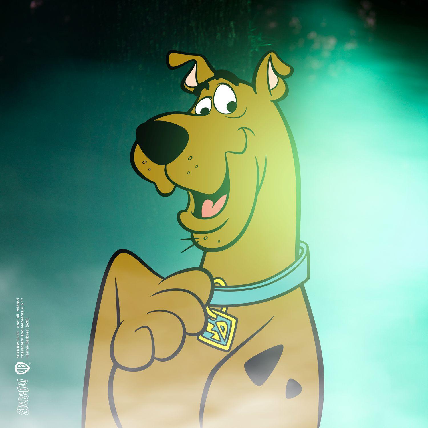 Coleira Para Cães Pequenos Scooby-doo Com Pingente PP - Freefaro ...