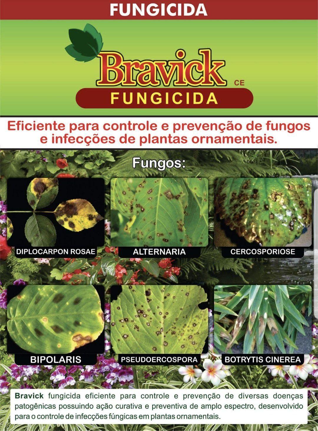 Controle Fungo mancha negra Orquidea Bromelia Bravick240ml - Rawell -  Limpeza Facial - Magazine Luiza