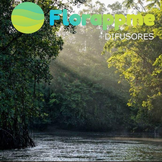 Difusor Florappme Amazônia Blend Bamboo e Capim Limão 350Ml Difusor