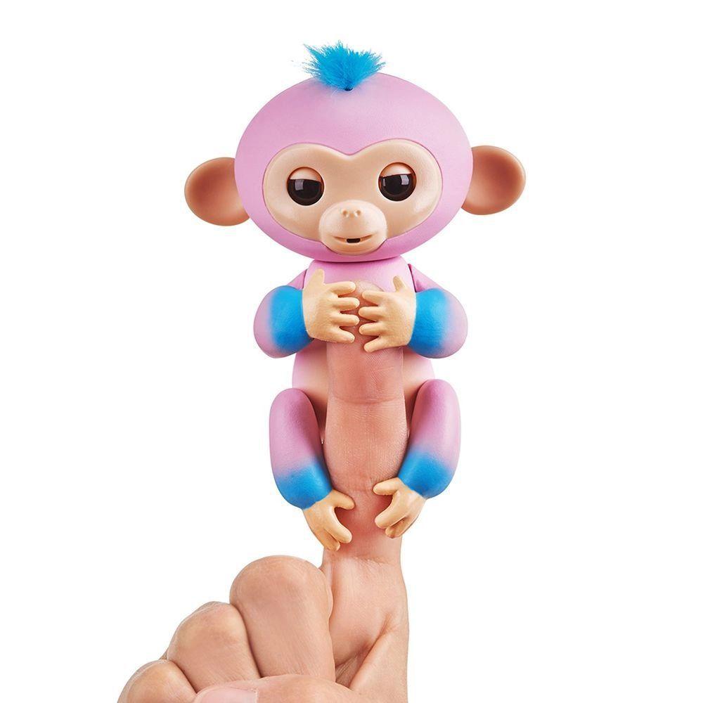 macaquinho das cores