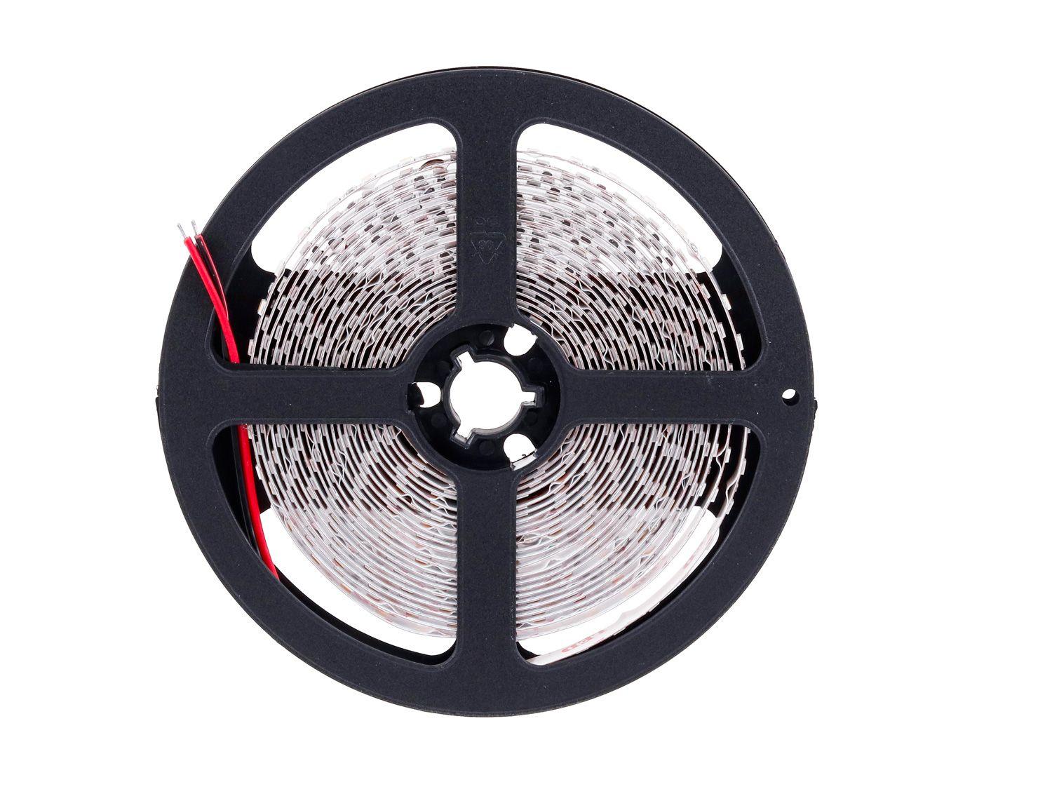 Bivolt