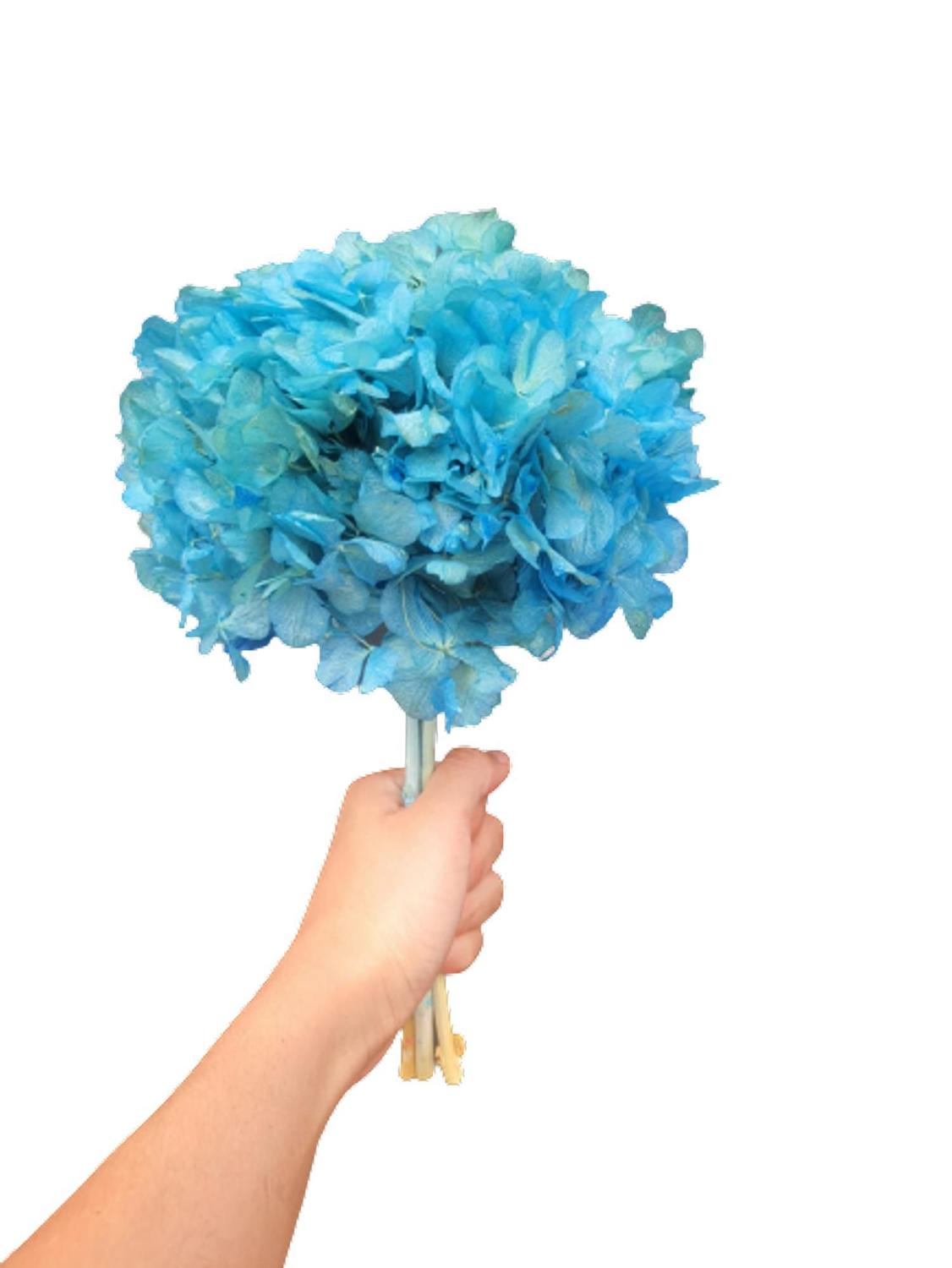 Flor De Hortência Azul Seca Natural Decoração - Stop Flores - Flores de  Natal - Magazine Luiza