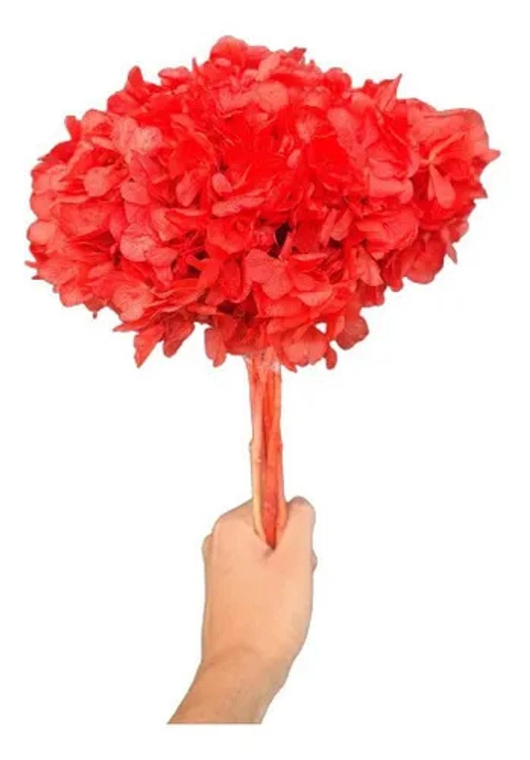 Flor De Hortência Vermelha Seca Natural Decoração - Stop Flores - Flores de  Natal - Magazine Luiza
