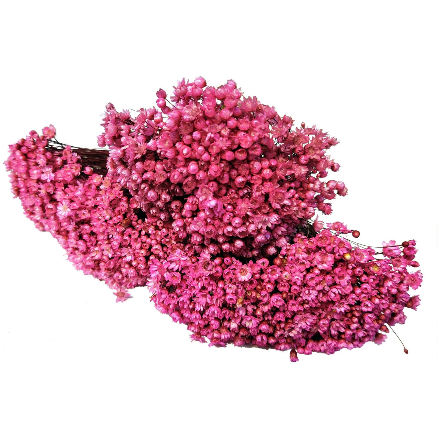 Flor sempre viva especial artificial - rosa - 3 maços - LILY - Flores  Artificiais - Magazine Luiza