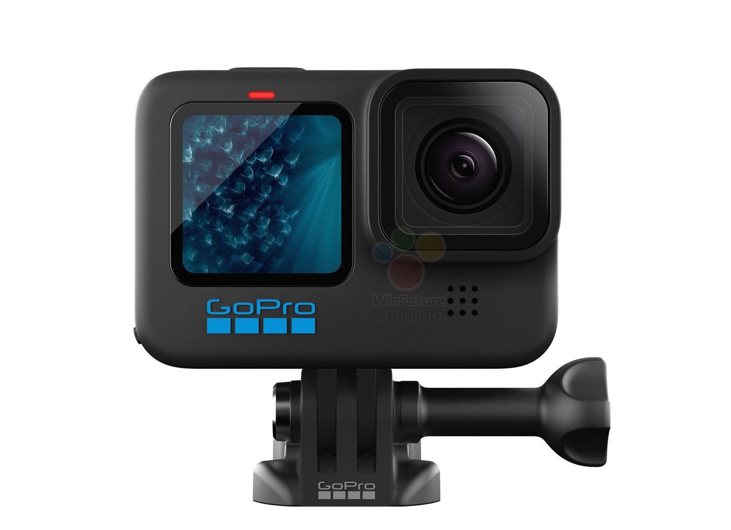 日本産】 GoPro公式ストアGoPro公式限定 HERO11 Black タジマ保証書付