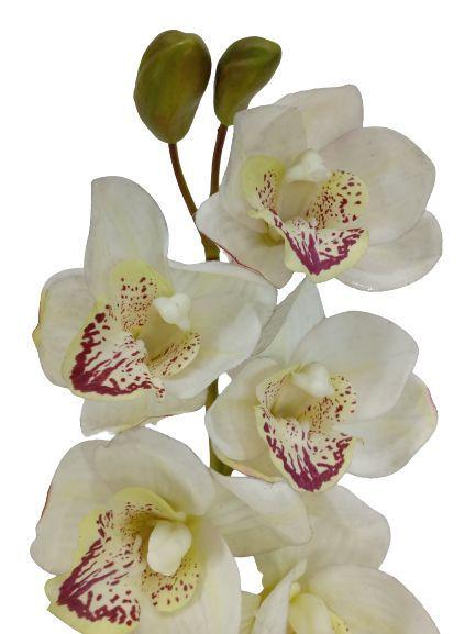 Haste orquidea cymbidium branca em silicone grillo - Flor e Planta  Artificial - Magazine Luiza