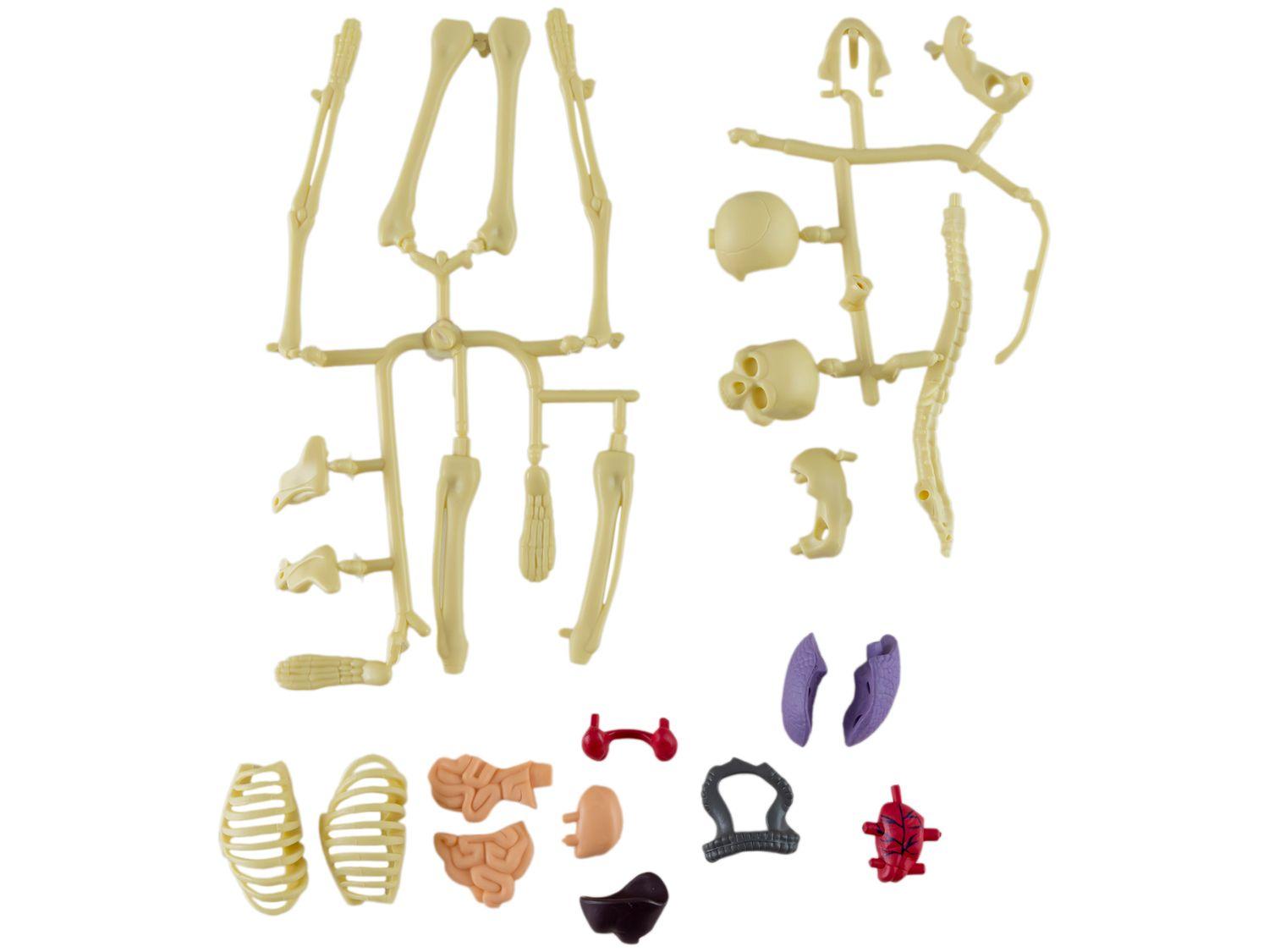 Jogo Anatomia Grow