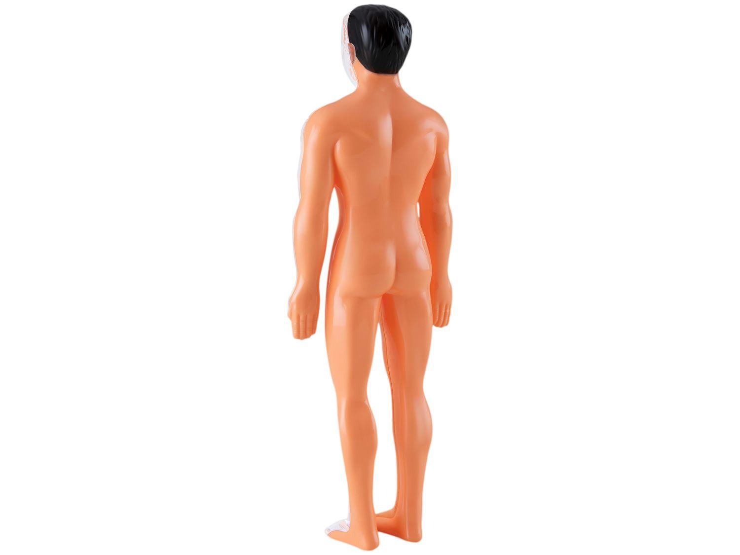 Jogo Anatomia Grow
