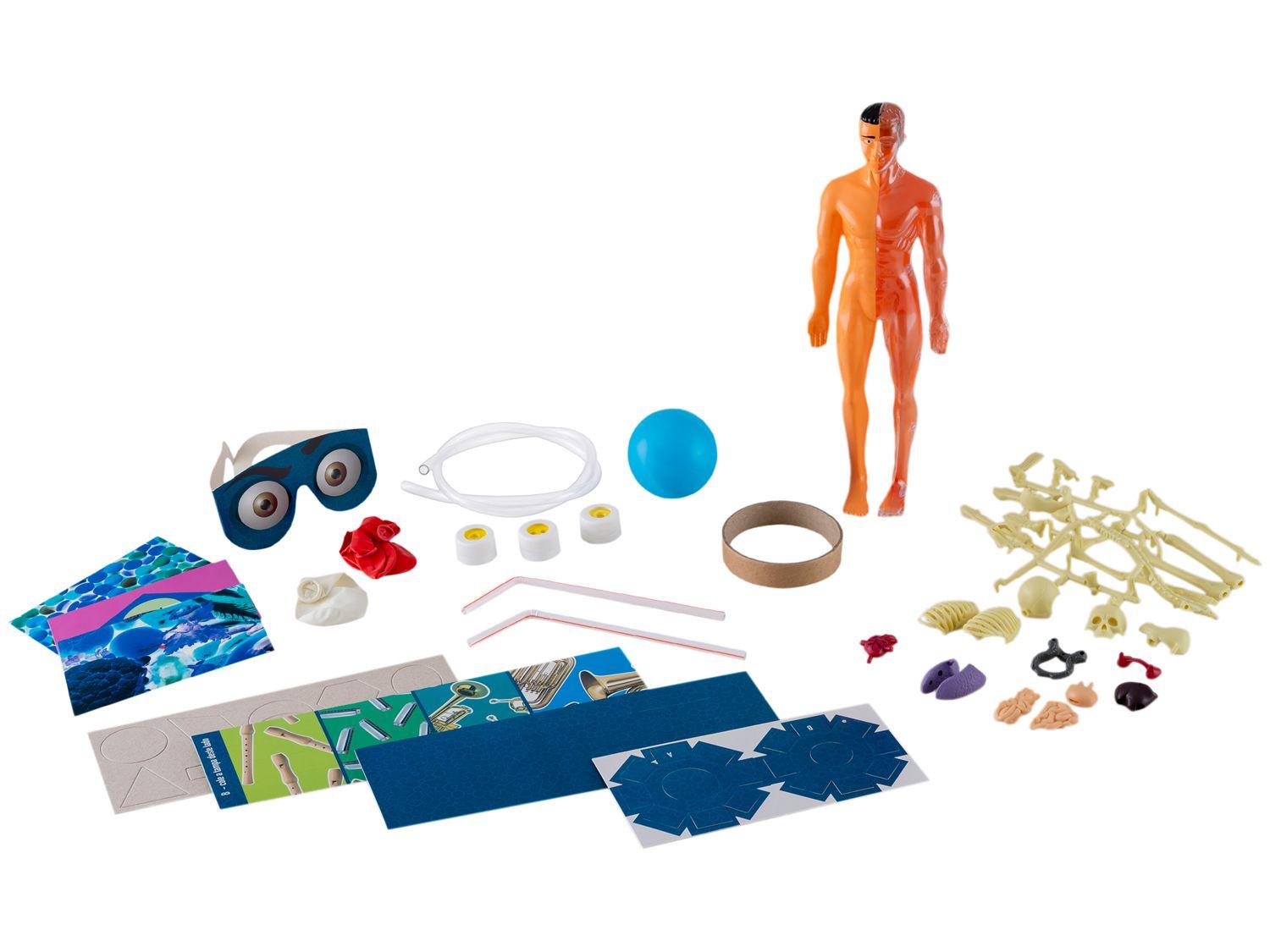 Jogo Anatomia Grow