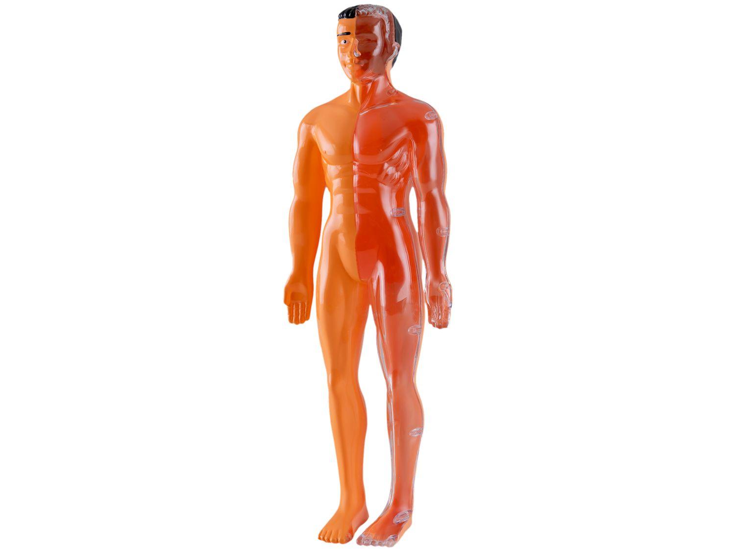 Jogo Anatomia Grow