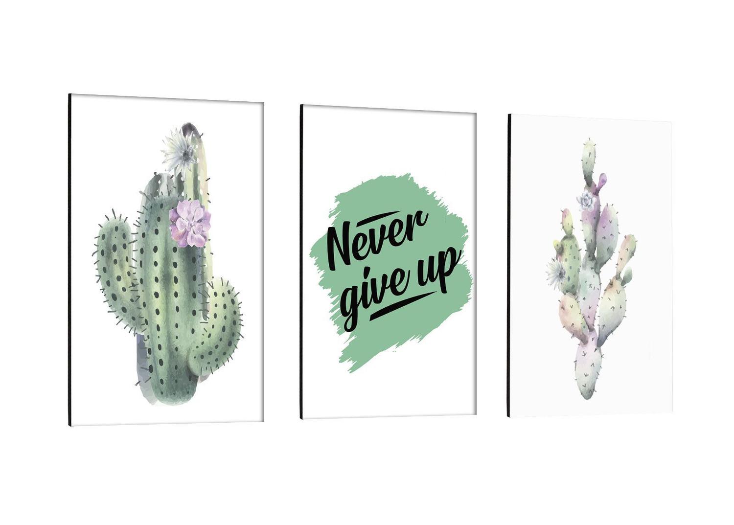 Kit Quadros Placas Decorativos Modernos Never Give Up Cactos Verdes Frases  - Clic Store - Placa Decorativa - Magazine Luiza