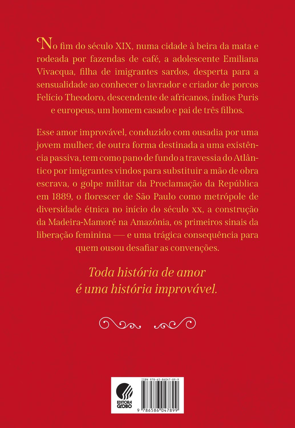 Livro - Amores improváveis