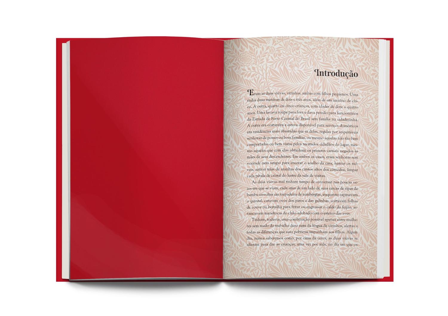 Livro - Amores improváveis