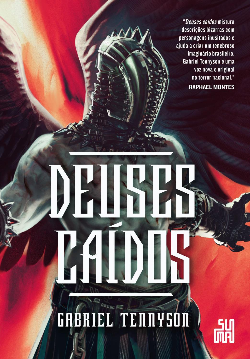 Livro - Deuses caídos