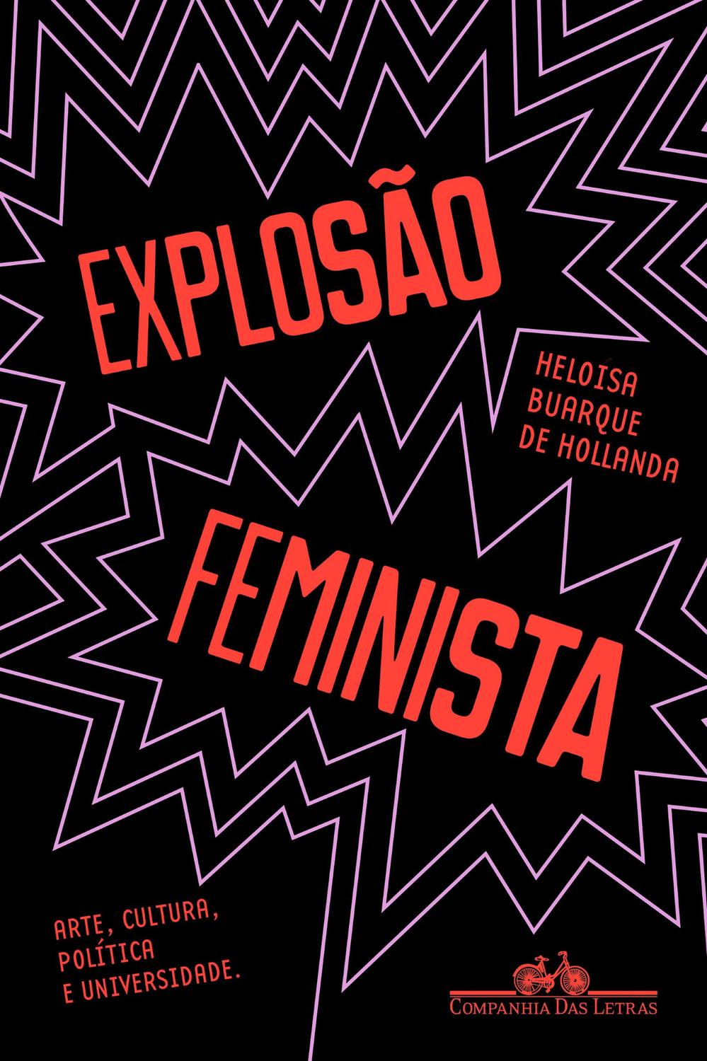 Livro - Explosão feminista