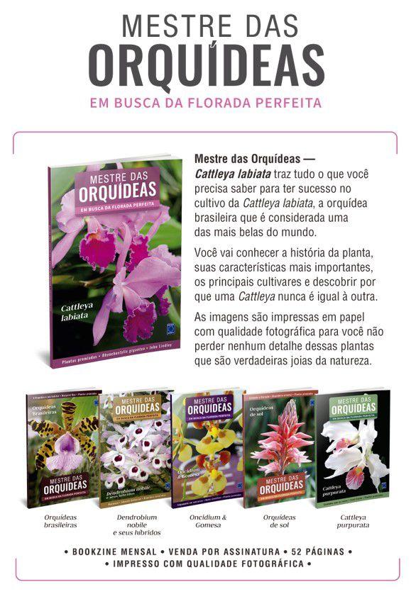Livro - Mestre das Orquídeas - Volume 1: Cattleya labiata - Livros de  Arquitetura - Magazine Luiza